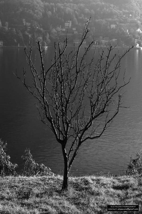 Appartamenti Monti Como Lake 布鲁纳特 外观 照片